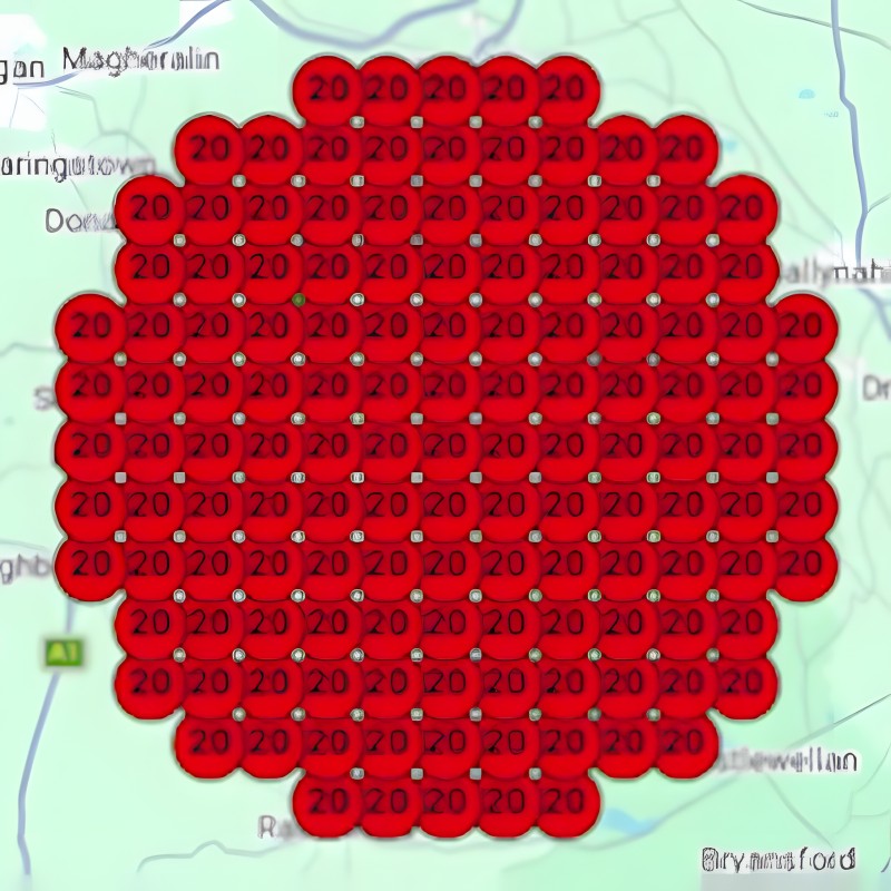 Rank grid with red 20 markers across the whole area
